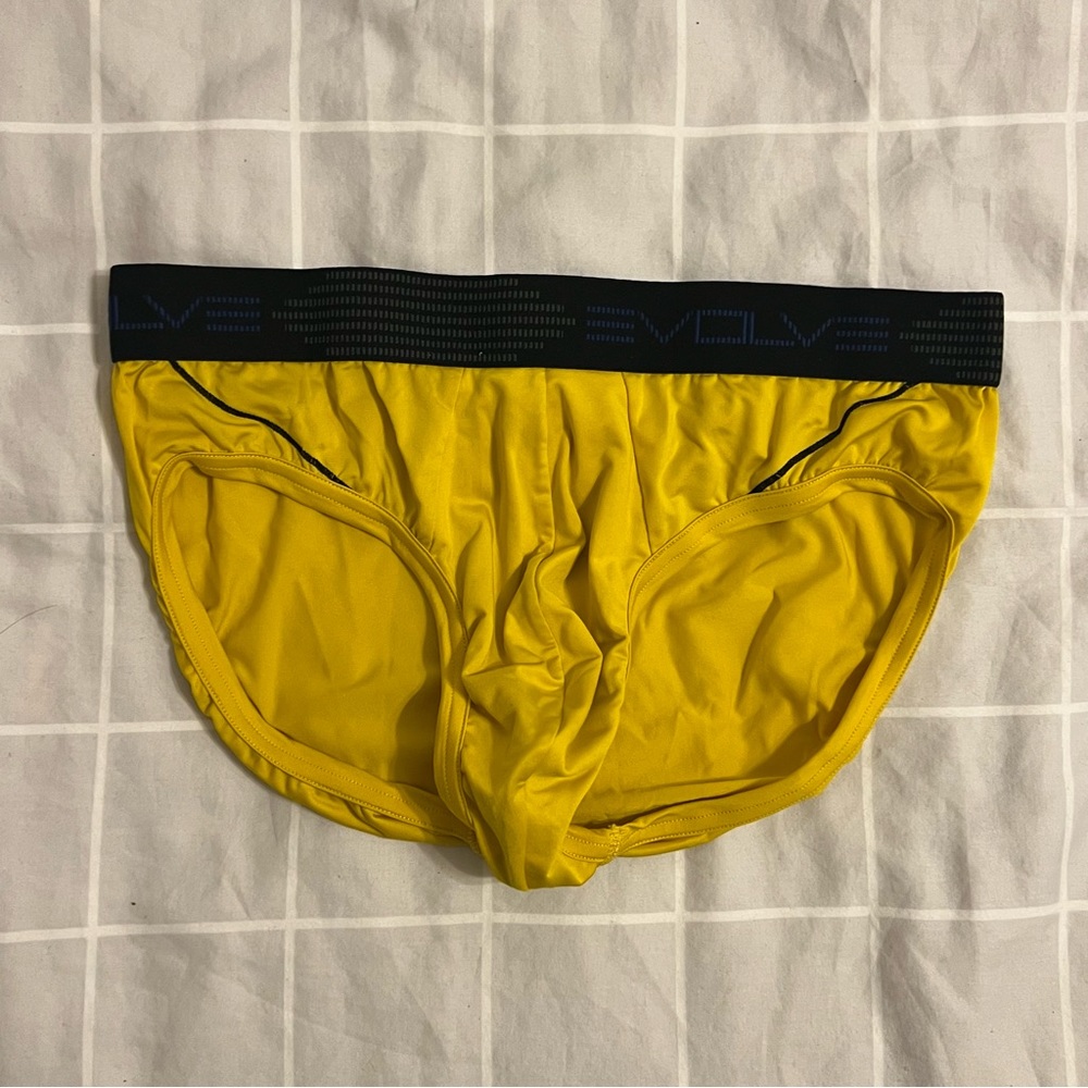 Evolve briefs medium